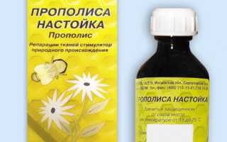 Прополис: лечебные свойства и противопоказания, настойки, рецепты