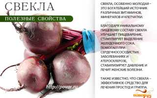 Полезные свойства свеклы для здоровья — лечебные свойства