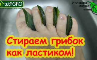 Лечение грибка ногтей содой: рецепты, противогрибковая паста, видео