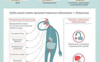Отравление ядовитыми грибами: признаки, первая помощь, видео