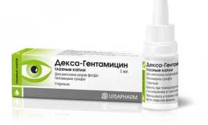 Декса гентамициновая глазная мазь – инструкция по применению и рекомендации