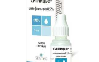 Капли Сигницеф глазные – инструкция по применению в глаза и рекомендации специалистов