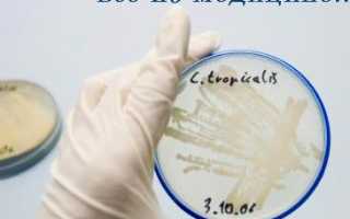 Может ли возникнуть молочница от смены полового партнера