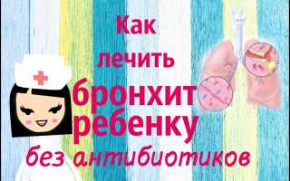 Как лечить бронхит без антибиотиков? Эффективное лечение и полезные видео