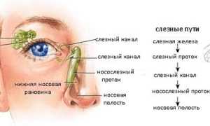 Чем опасно воспаление слёзного мешка для здоровья?
