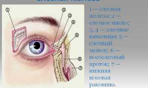 Капли от слезоточивости глаз: какие бывают и как выбрать?