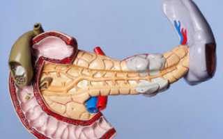 Как восстанавливать печень после алкогольного отравления