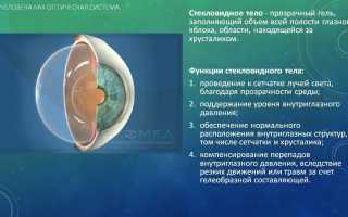 Что такое стекловидное тело глаза и плавающие помутнения в нем: причины и последствия