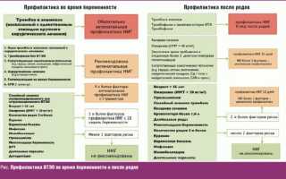 Тромбофилия во время беременности: важные аспекты и рекомендации
