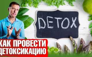 Детоксикация организма — как провести самостоятельно? Средства и способы, видео