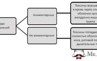 Реанимация кошки при отравлении