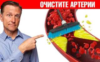 Препараты для очищения сосудов: виды и свойства, видео — народные средства