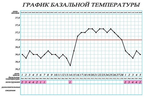 Базальная температура