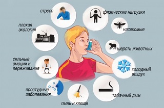 Раздражители при бронхиальной астме
