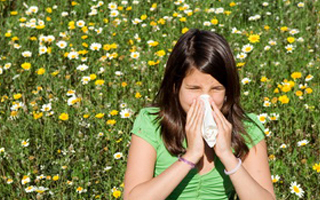 Аллергия на пыльцу растений Аллергия на пыльцу