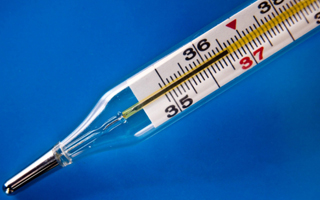 Ртутный термометр Термометр