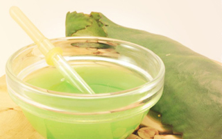 Капли из каланхоэ Капли