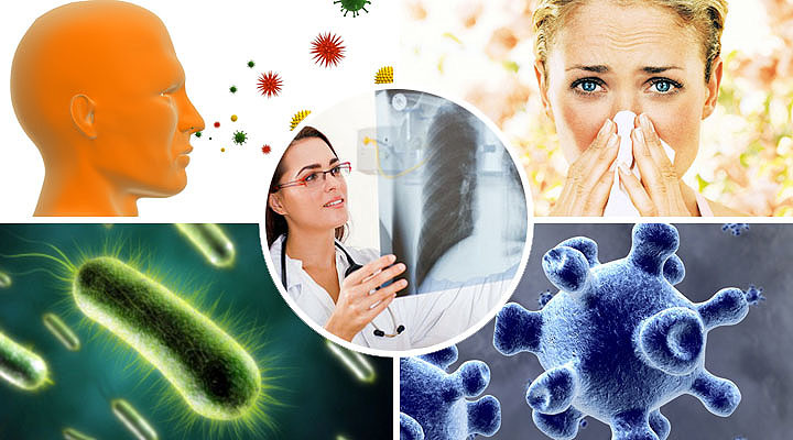 Причины трахеита и бронхита Причины трахеита и бронхита