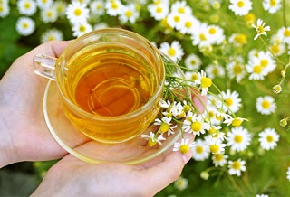 Ромашковый отвар  Ромашковый отвар
