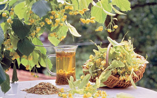 Липовый цвет