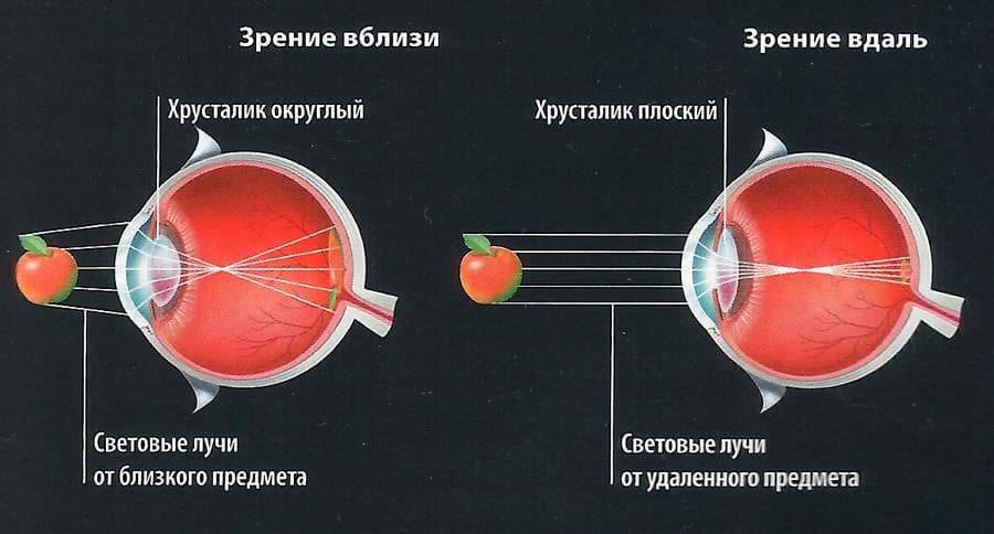 Что такое аккомодация