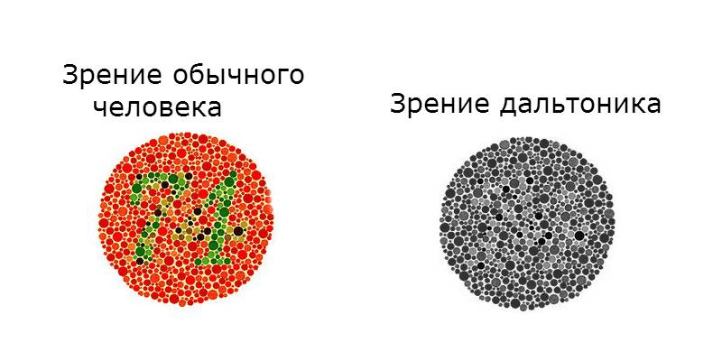 zrenie-obychnogo-cheloveka-i-zrenie-daltonika