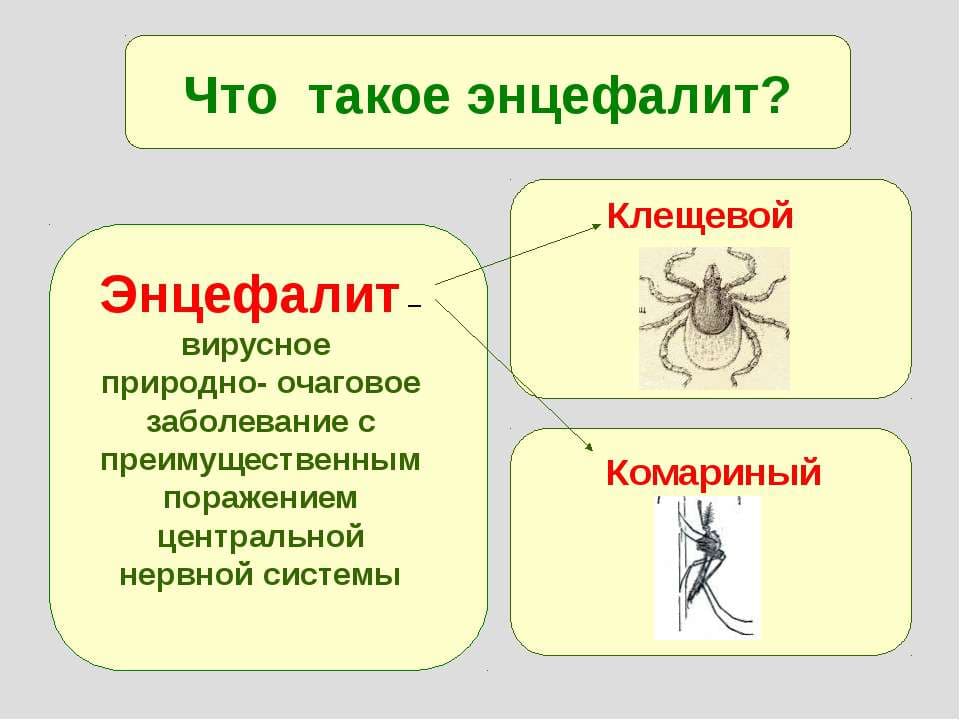 encefalit