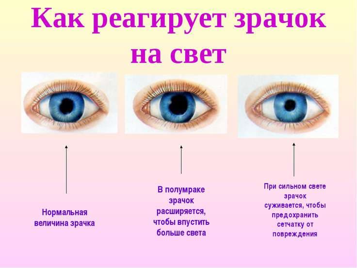 kak-reagiruet-zrachok-na-svet