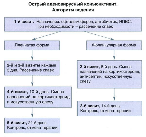 Как быстро вылечить конъюнктивит: лечение, чем у детей, симптомы, аллергический, бактериальный, при беременности, в домашних условиях