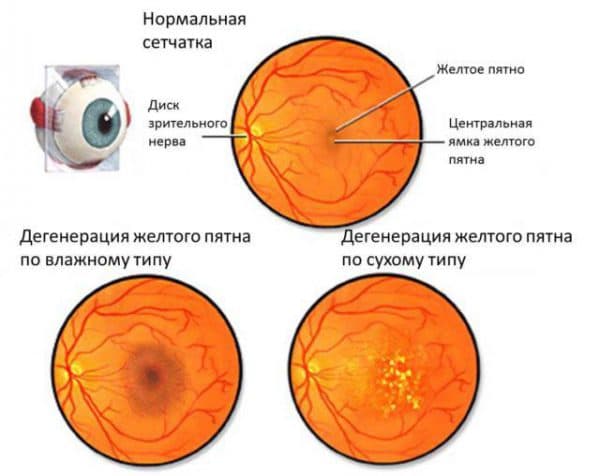 подробное описание