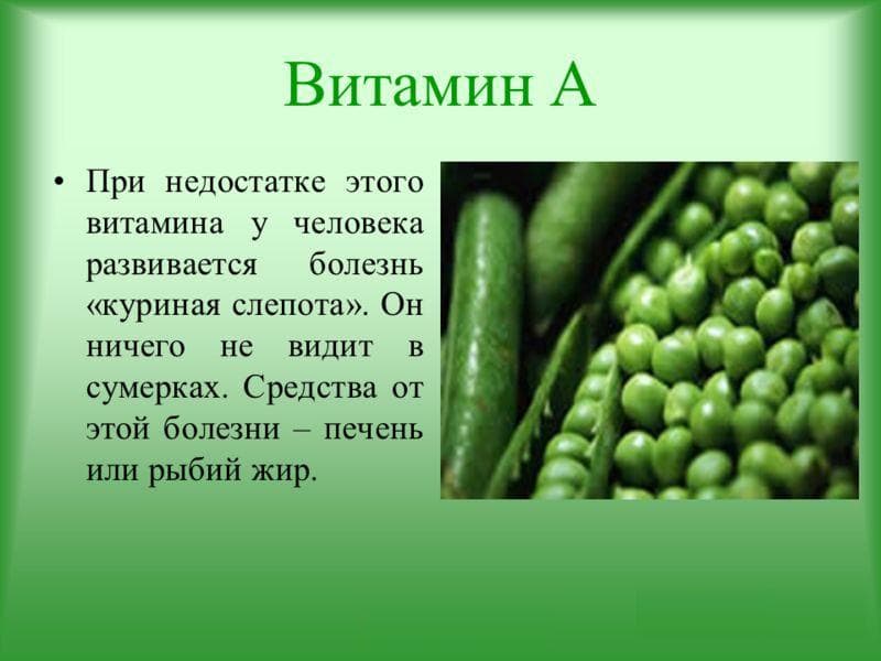prichiny-vozniknoveniya-kurinoj-slepoty