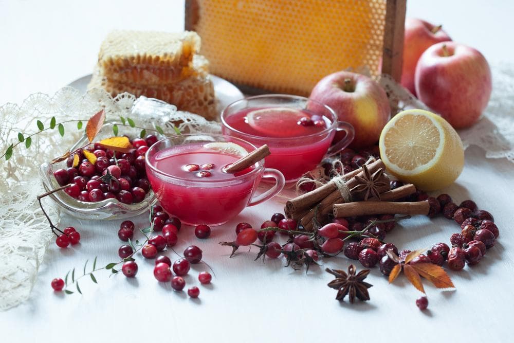 shipovnik-pri-grudnom-vskarmlivanii-6