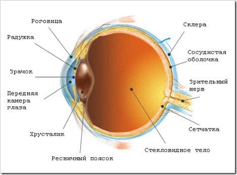 глаукома причины симптомы лечение и профилактика, глаукома симптомы, глаукома симптомы и лечение, признаки глаукомы глаза симптомы, глаукома причины симптомы лечение и профилактика фото, признаки глаукомы на ранних стадиях, симптомы глаукомы на ранних стадиях, открытоугольная глаукома причины симптомы лечение и профилактика, симптомы катаракты и глаукомы закрытоугольная глаукома симптомы
